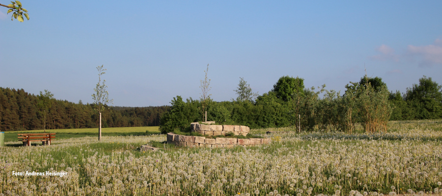 Kräuterspirale im Frühling
