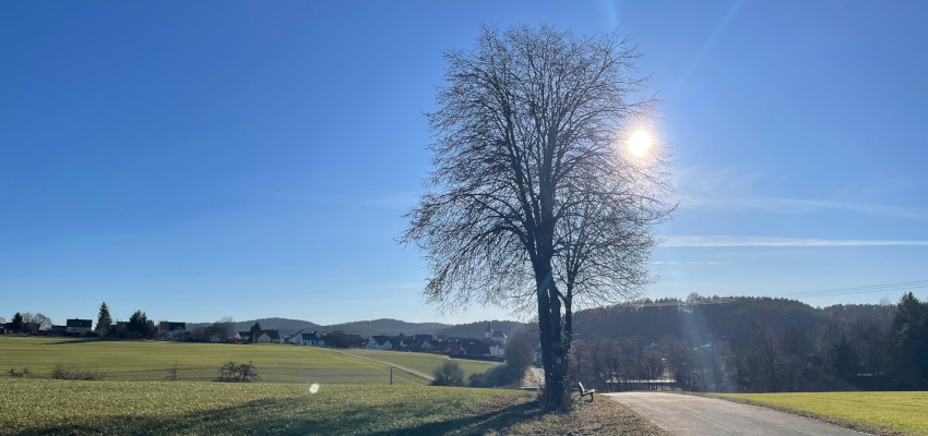 Blick auf Plech vom Galgenberg aus im Frühling