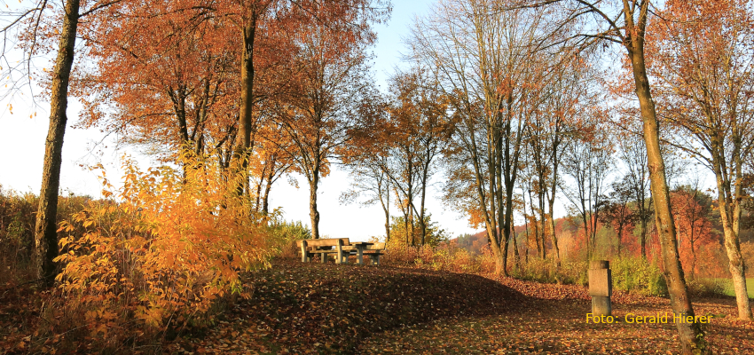 Flurbereinigungsdenkmal im Herbst