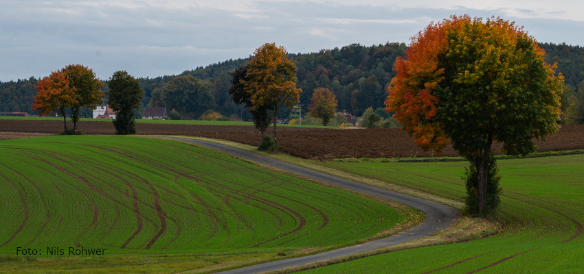 Landschaft im Herbst