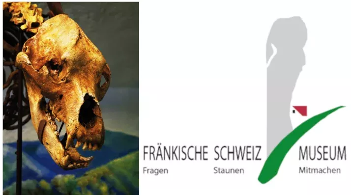 Logo Fränkisch Schweiz Museum